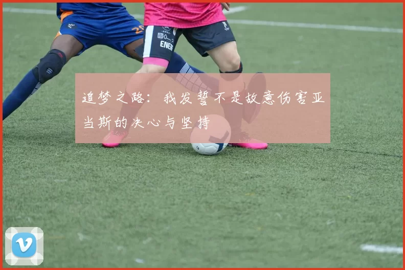 追梦之路：我发誓不是故意伤害亚当斯的决心与坚持